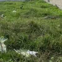 فروش-زمین-مشارکت-معاوضه