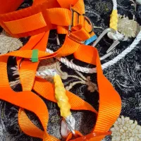 کمربند ایمنی ساختمان