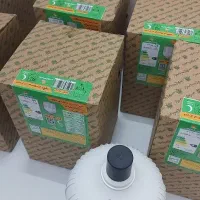 لامپ ۵۰ وات پارس شعاع توس E27