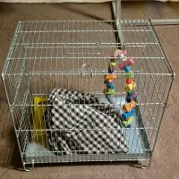 دو قفس و لوازم جانبی