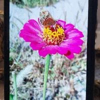 a7 2018 درحد آک|موبایل|آذرشهر, |دیوار