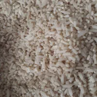 برنج میانباری دم سیاه|عمدهفروشی|گرگان, |دیوار