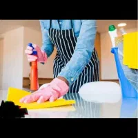 خانم جوان جهت امور منزل