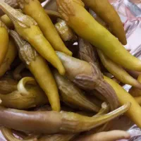 فروش ترشیجات درجه یک|عمده‌فروشی|مرودشت, کناره|دیوار