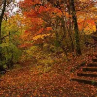 کمک مربی مهد