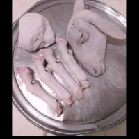 پاک کردن کله پاچه