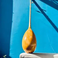 دوتار فروشی