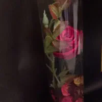 تزئینی|صنایع دستی و سایر لوازم تزئینی|اصفهان, قهجاورستان|دیوار