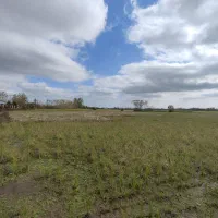 زمین شالیزار|فروش زمین و ملک کلنگی|خمام, |دیوار