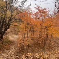 باغ ۸۵۰متری روستای سیجان