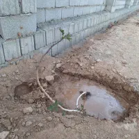 فروش 1300متر دامداری نیمه کاره