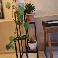 استند گلدان