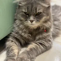 بهترین قیمت پیشنهادی واگذار خواهد شد