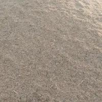 جو محلی درجه یک