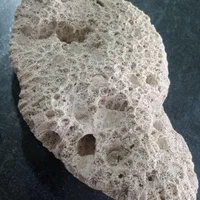 سنگ مرجانی آکواریوم طبیعی