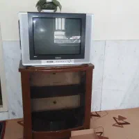 تلویزیون