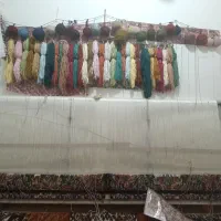 فرش نیمه کاره جفت زرنیم|فرش|تبریز, |دیوار
