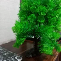 سبزه بزرگ