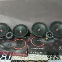 دو جفت میدرنج ۸