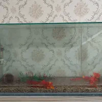 آکواریوم بالوازم