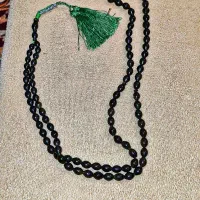 شاه مقصود پادزهر
