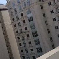 جذب نیروی نقاش