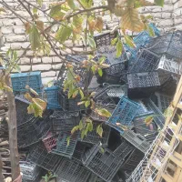 جعبه میوه|ظروف نگهدارنده، پلاستیکی، یک‌بارمصرف|قوچان, |دیوار