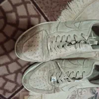 کفشهای|کیف، کفش، کمربند|کرمانشاه, |دیوار