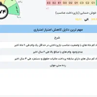 ضامن چک دیجیتال