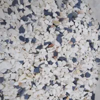 شن آکواریم|ماهی|قوچان, |دیوار