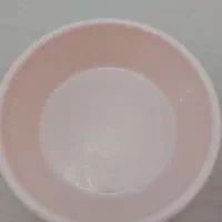 سبد لگن پلاستیک