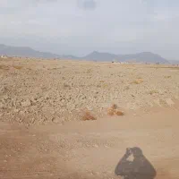 زمین کشاورزی بکر درتربت حیدریه