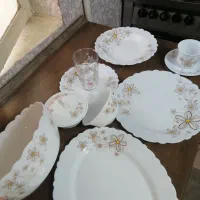 ظرف آرکوپال. 12نفره.. درحدنو
