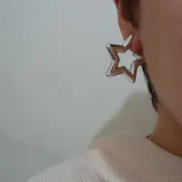 پک گوشواره سیلور|بدلیجات|تهران, کیانشهر|دیوار