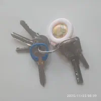 پیدا شده دسته کلید