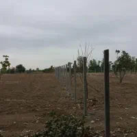 حصار دور زمین و باغات فنس و پایه|خدمات باغبانی و درختکاری|گرگان, |دیوار