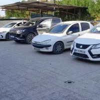 کارگر  ماهر و کار بلد  کارواش با درآمد بالا