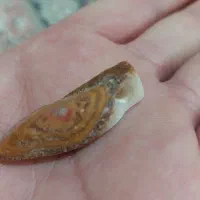 مهر نشان قدیمی