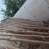 خرید انواع چوب تر و خشک خریدار|خدمات باغبانی و درختکاری|کرمانشاه, |دیوار