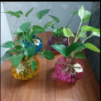 گلدان شیشه ای