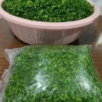 جویای کار در منزل