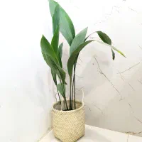 تخفیف به مناسب روز پدر