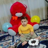 خرس بزرگ