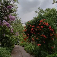 زمین با بنا و قابلیت ساخت و جواز (قابل تفکیک)|فروش زمین و ملک کلنگی|هشتگرد, ینگی امام|دیوار