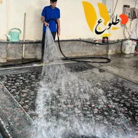 قالیشویی طلوع تهرانپارس|خدمات نظافت|تهران, تهرانپارس غربی|دیوار