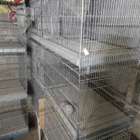 قفس ۶ خان‌ و ۹ خان غلامی،گنجه چوبی و آبدونی|لوازم جانبی حیوانات|قم, ناصردیوان|دیوار