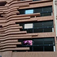 درب پنجره دوجداره،نرده استیل،شیشه سکوریت|خدمات پیشه و مهارت|شیراز, زرهی|دیوار