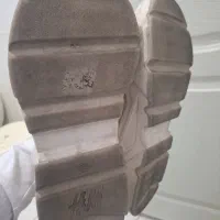 کیف و کفش .|کیف، کفش، کمربند|پرند, فاز ۶|دیوار