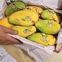 انبه