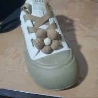 کفش|کیف، کفش، کمربند|آران و بیدگل, |دیوار